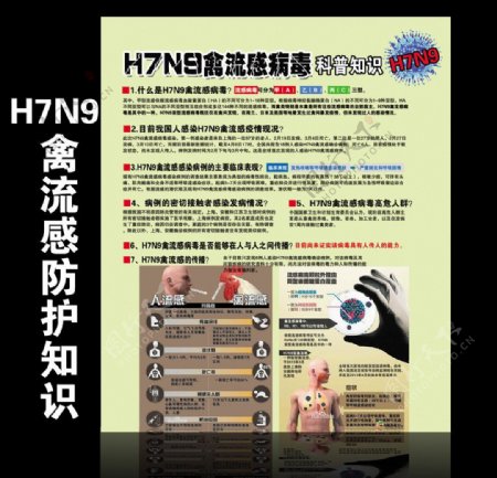 H7N9禽流感知识图片