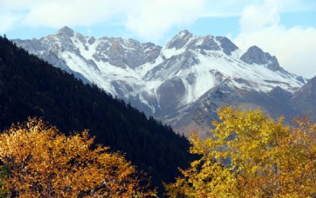 黄龙风景雪山图片