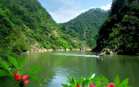 龙津河图片