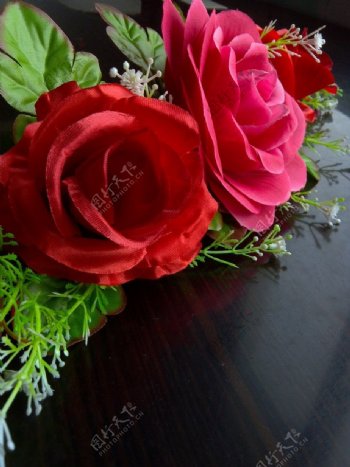 红蔷薇花图片