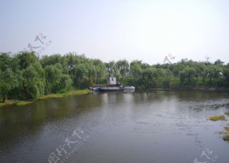 洪泽湖湿地图片