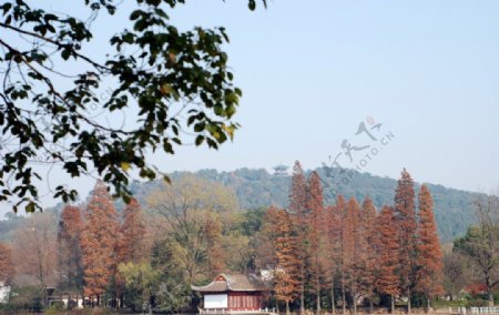 东湖秋景图片