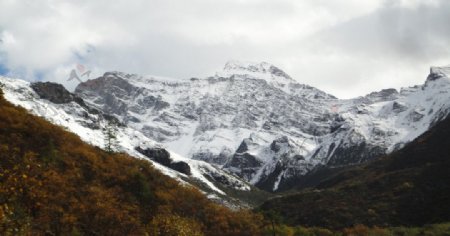 黄龙雪山图片