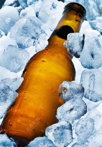 啤酒与冰块3图片