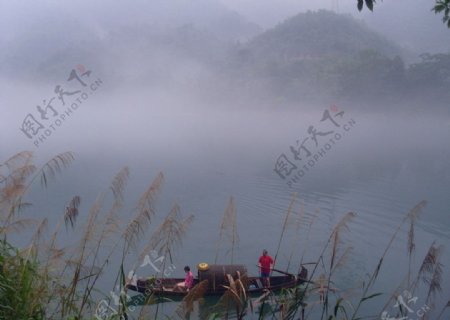 雾漫小东江图片