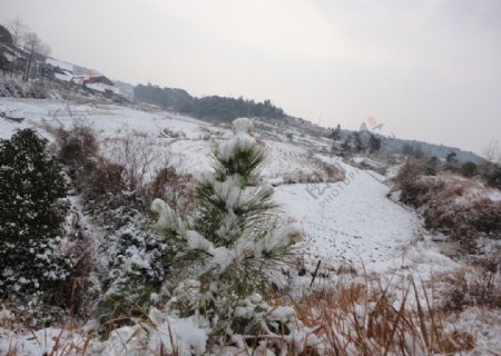 山村雪景图片