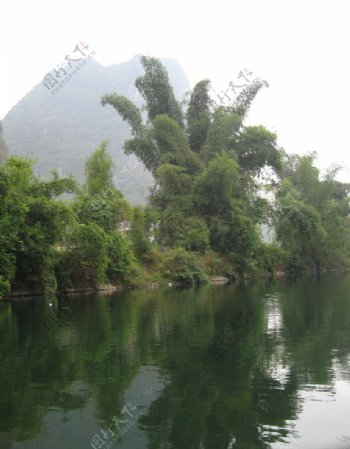 桂林山水之遇龙河植物绿树图片