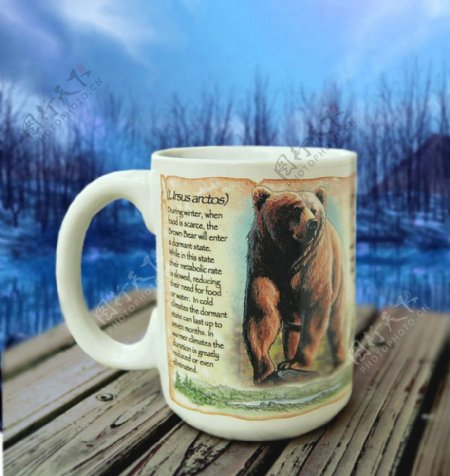 美国探险棕熊子马克杯图片