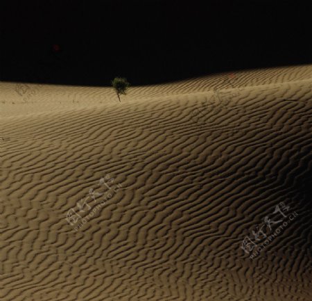 高清沙漠戈壁滩图片