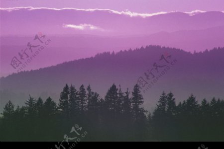 紫色江山图片