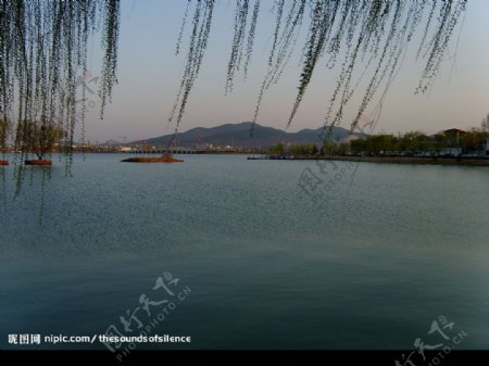云龙湖之春图片