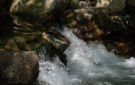 湍流的溪水图片