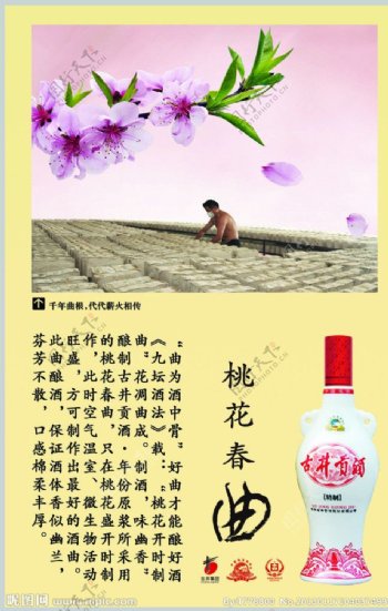 古井贡酒广告图片