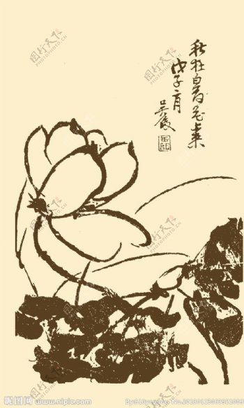 芥子园画谱花卉图片