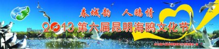 云南昆明海鸥图片