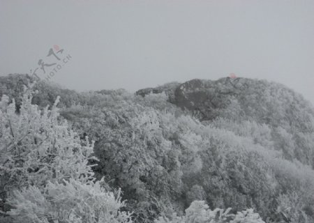 峨眉山雪景图片