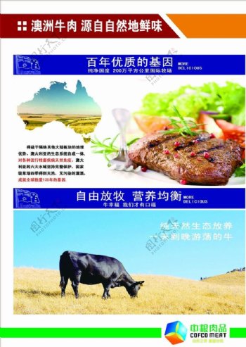 牛肉的价值图片