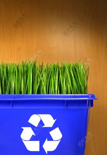 环保概念草和木板背景的蓝色回收桶图片