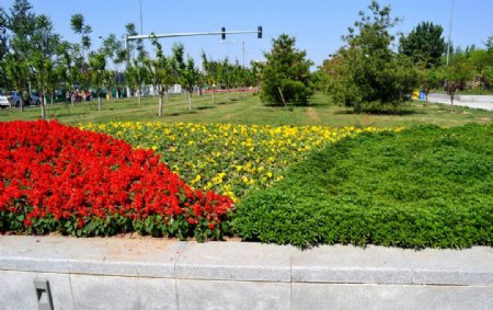 园林花草图片