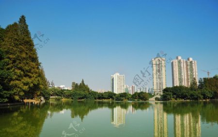 深圳四海公园湖景图片