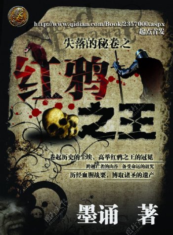 红鸦之王小说封面图片
