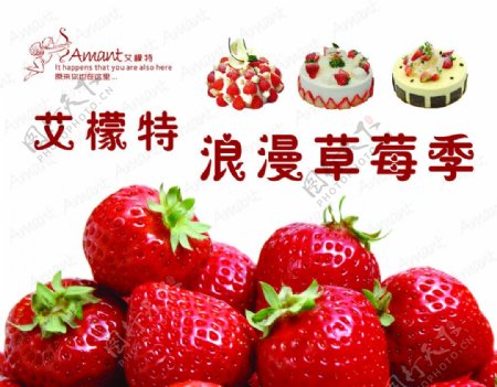 浪漫草莓季图片