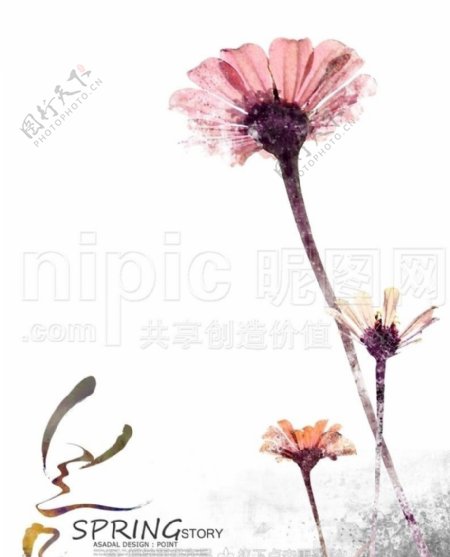 手绘菊花图片