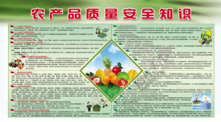 农产品质量安全知识展板图片