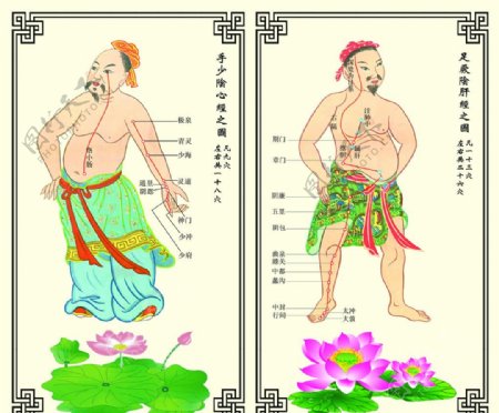 中医药文化图片