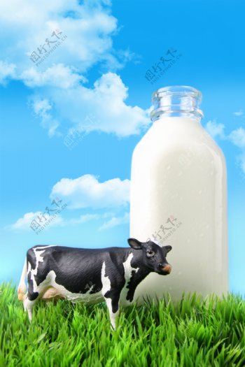 草原牛奶图片