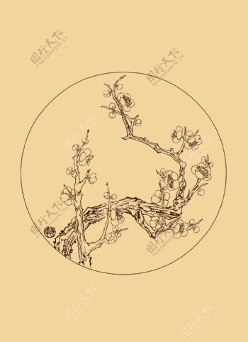 折枝白描梅花图片