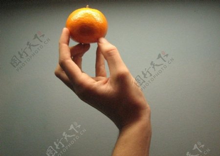 拿橙子的手图片