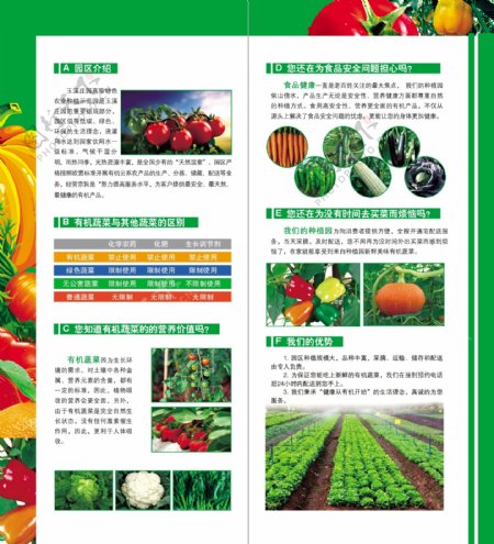 蔬菜宣传三折页图片