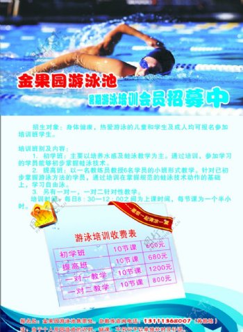 游泳池宣传单图片