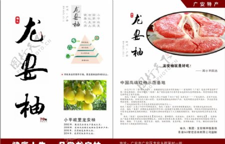龙安柚宣传单图片