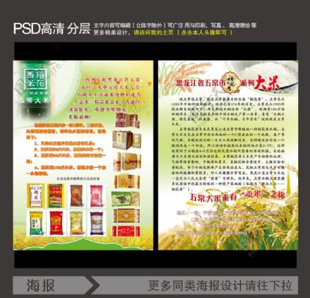 黑龙江省五常市旺达米业五常大米图片