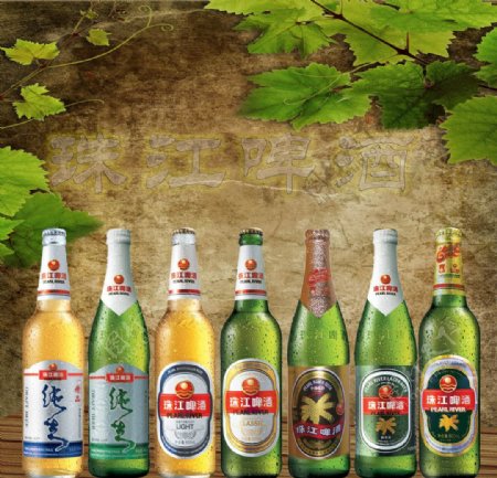 珠江六瓶啤酒图片