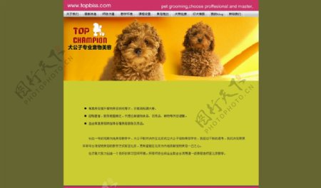 犬类宠物店网站网页图片