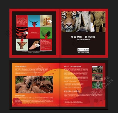 保护动物2折页图片