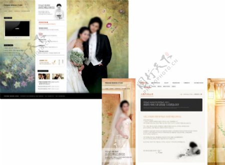 韩国婚纱摄影网站模板图片