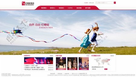 红蜻蜓集团集团网站模板图片