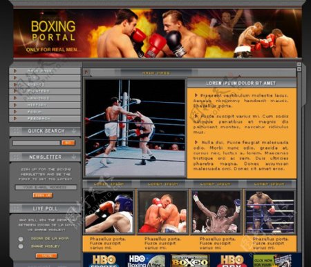 拳击网站模板图片