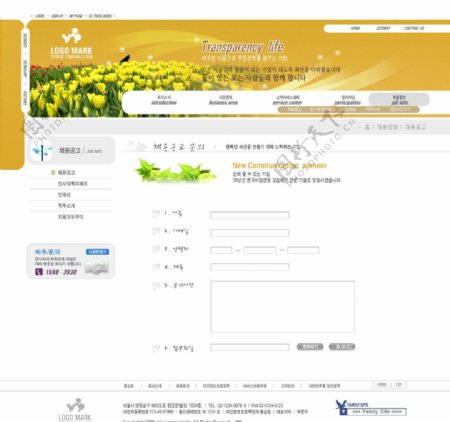 韩国金黄色花朵模板图片