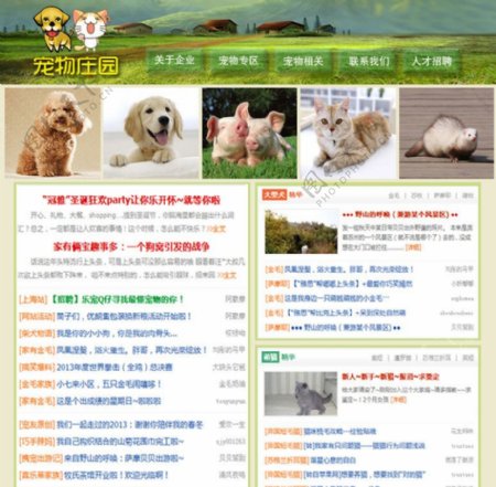 宠物网站页面图片