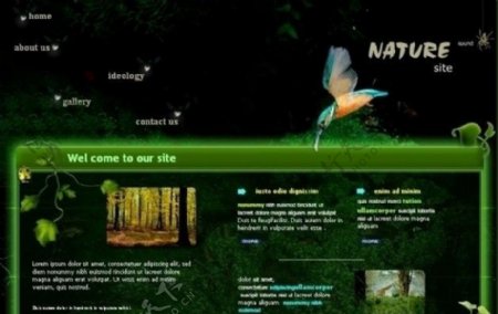 大自然生物网站flash模板素材图片