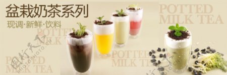 盆栽奶茶图片