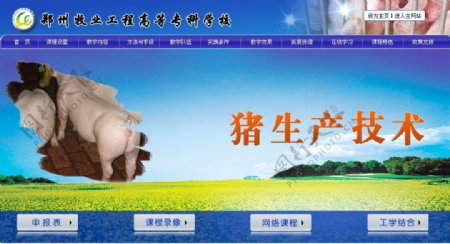 猪生产技术专题页面图片