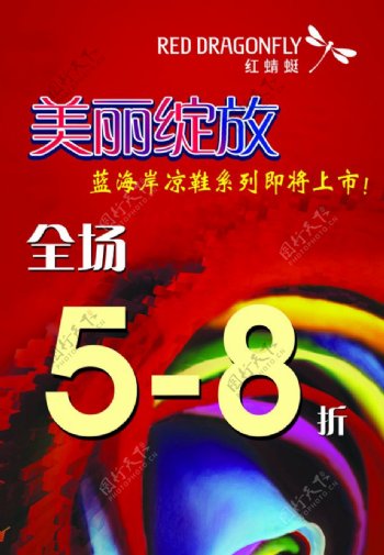 美丽绽放图片