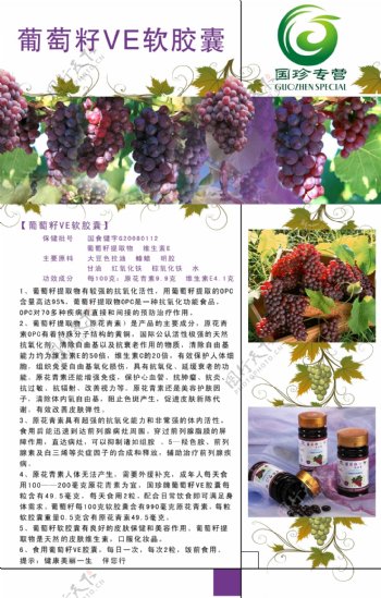 葡萄保健品单页图片