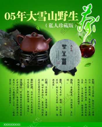 野生茶文化推广图片
